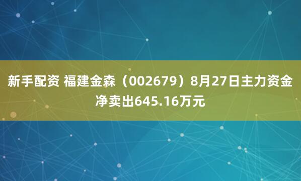 新手配资 福建金森（002679）8月27日主力资金净卖出645.16万元