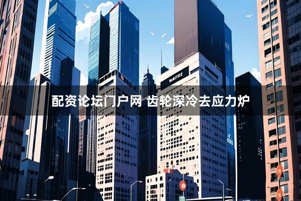 配资论坛门户网 齿轮深冷去应力炉