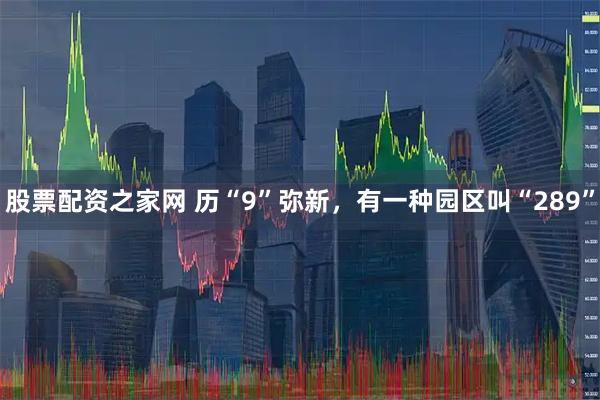 股票配资之家网 历“9”弥新，有一种园区叫“289”